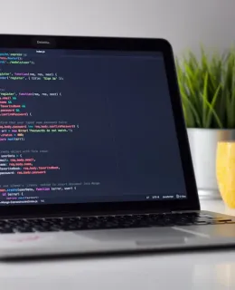 Custom Software Solutions